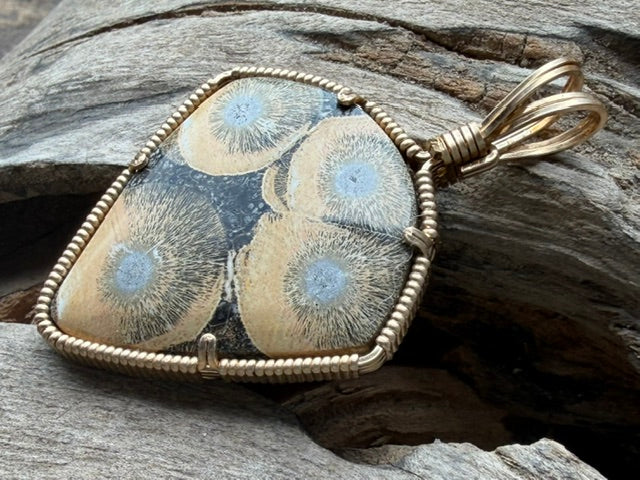 Burst -- Orbicular Rhyolite in Gold
