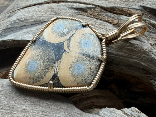 Burst -- Orbicular Rhyolite in Gold