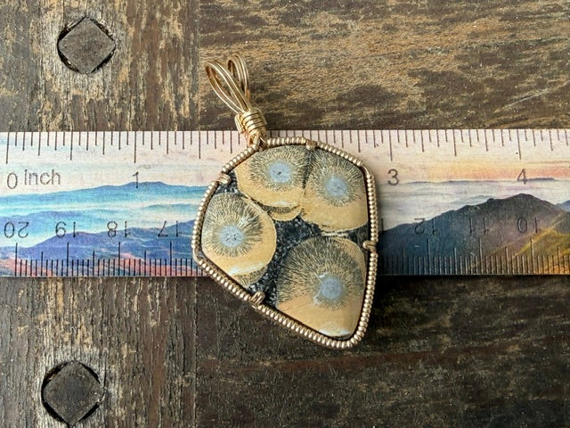 Burst -- Orbicular Rhyolite in Gold